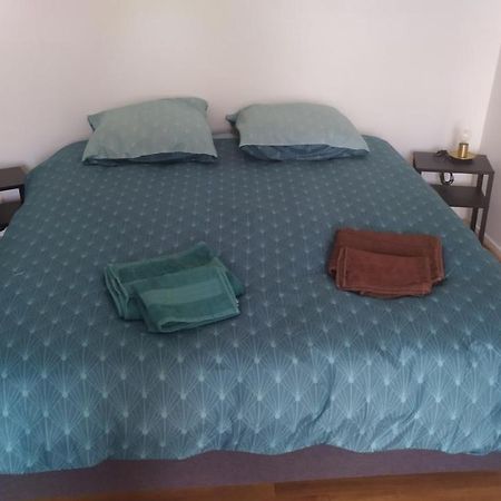 Plein Centre Apartment Malzeville Bagian luar foto